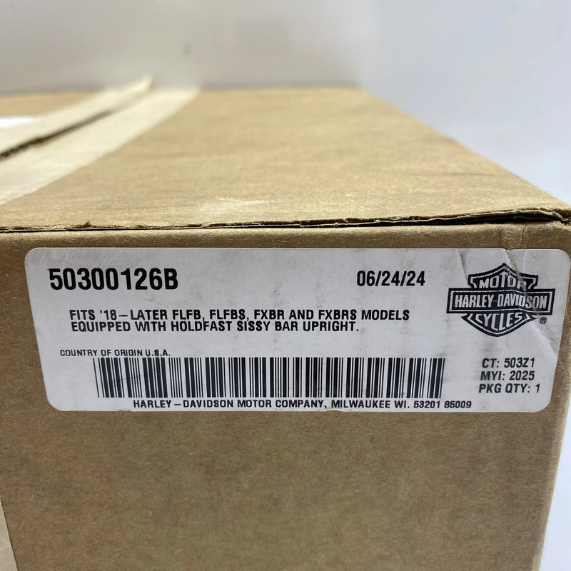 Portapacchi Sport per montante Holdfast di sissy bar OEM 50300126B