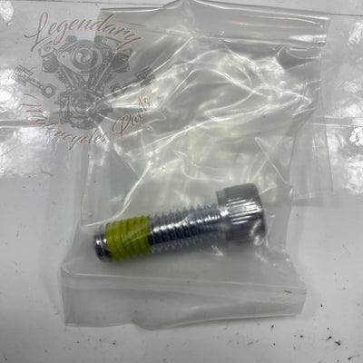Footpeg and Shift Peg Kit OEM 50347-03