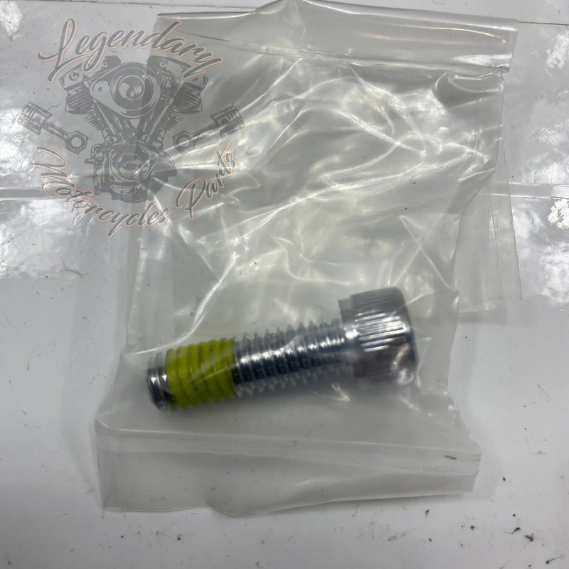 Footpeg and Shift Peg Kit OEM 50347-03