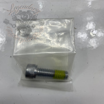 Footpeg and Shift Peg Kit OEM 50347-03