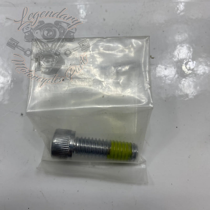 Footpeg and Shift Peg Kit OEM 50347-03