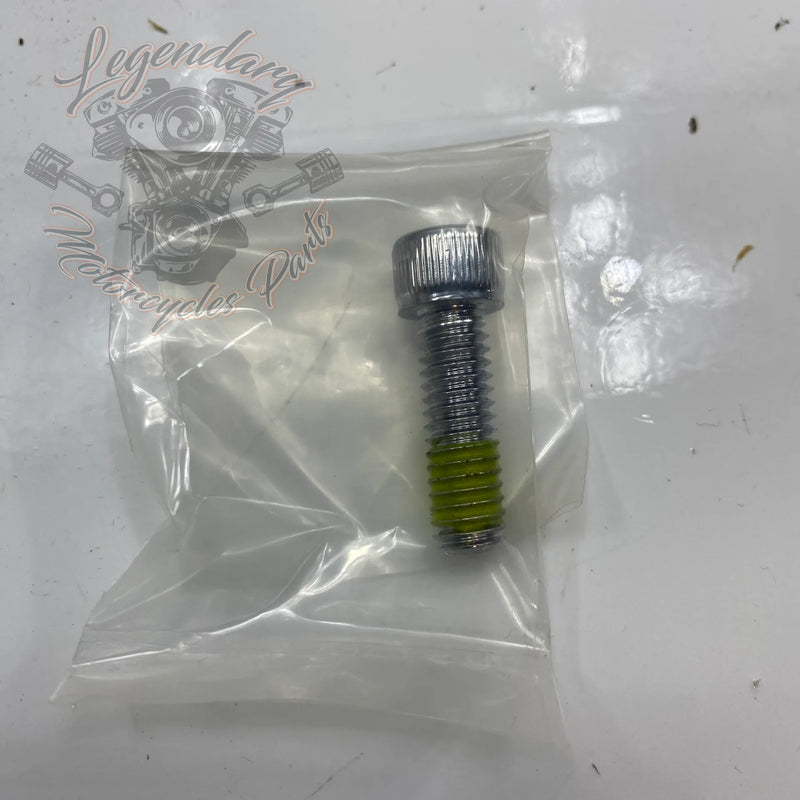 Footpeg and Shift Peg Kit OEM 50347-03