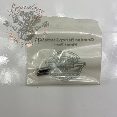 Passenger Footrests OEM 50500041