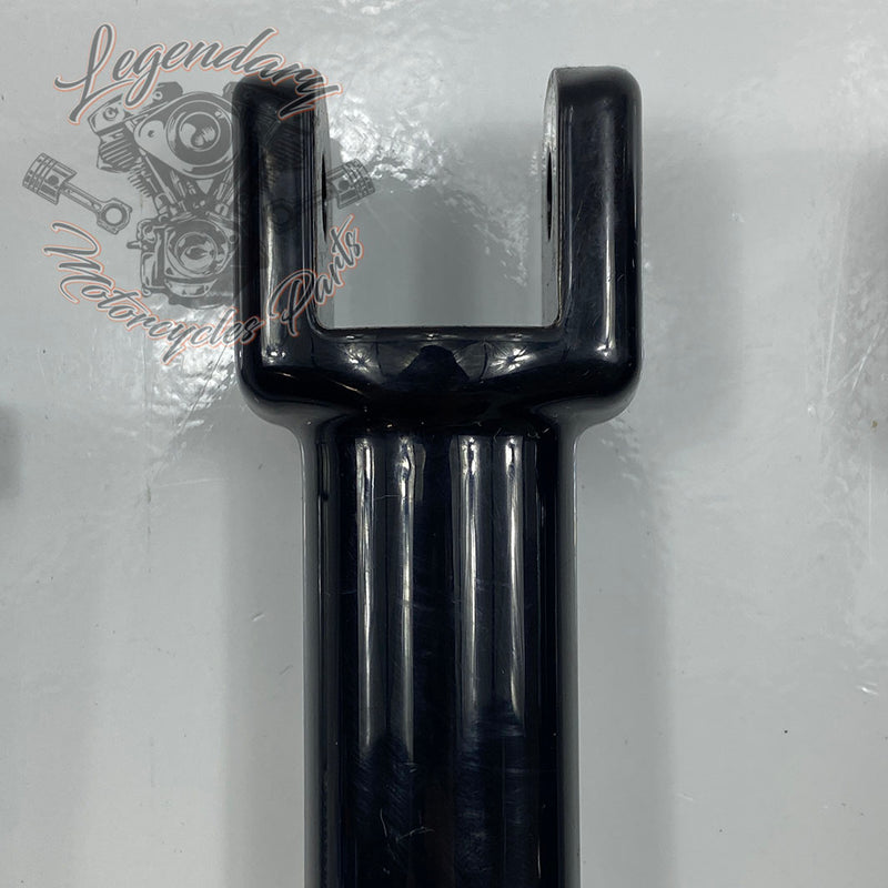 Passenger footrest brackets OEM 50500744