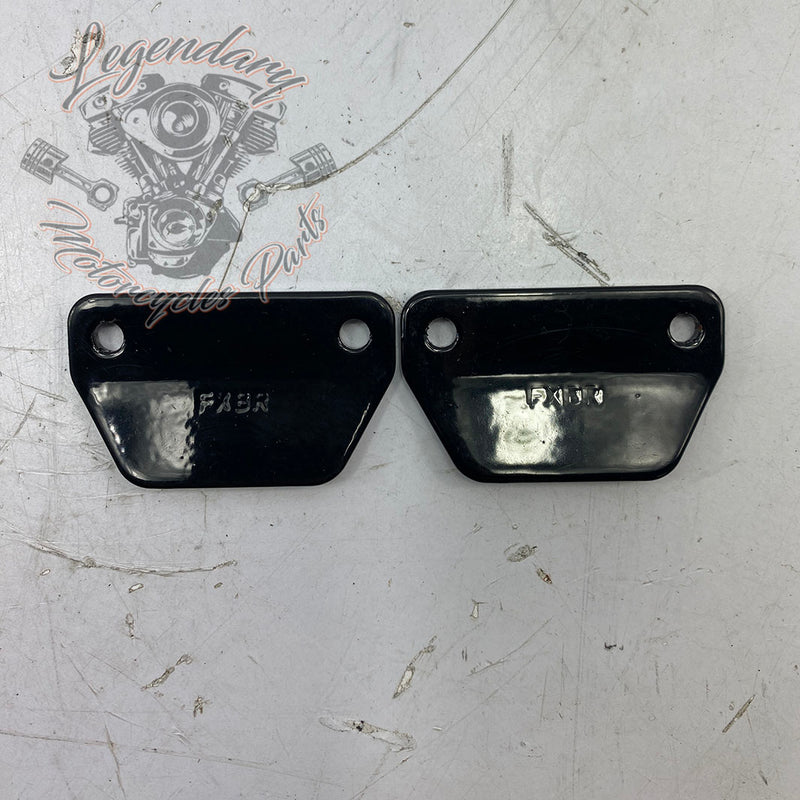 Clavijas de desgaste del reposapiés OEM 50500892