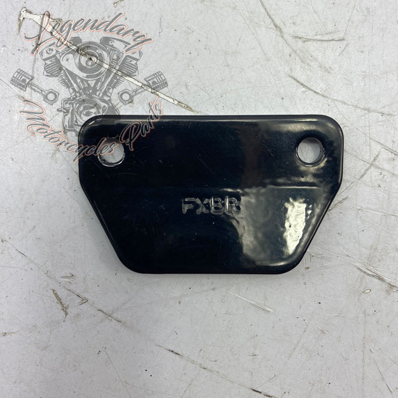 Clavijas de desgaste del reposapiés OEM 50500892