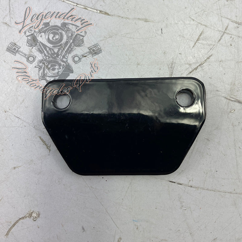 Clavijas de desgaste del reposapiés OEM 50500892