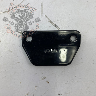 Clavijas de desgaste del reposapiés OEM 50500892