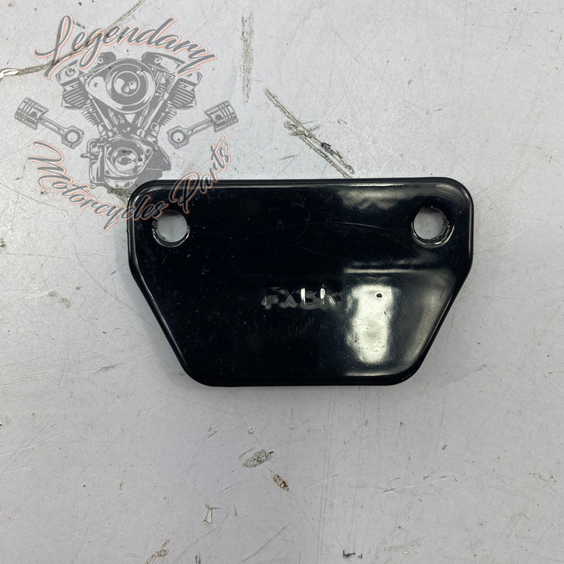 Footpeg wear pins OEM 50500892