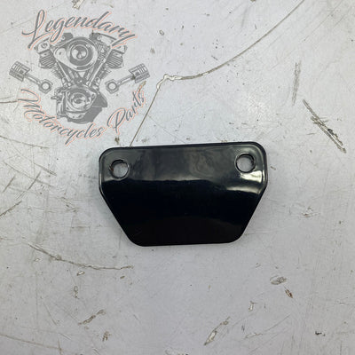 Footpeg wear pins OEM 50500892