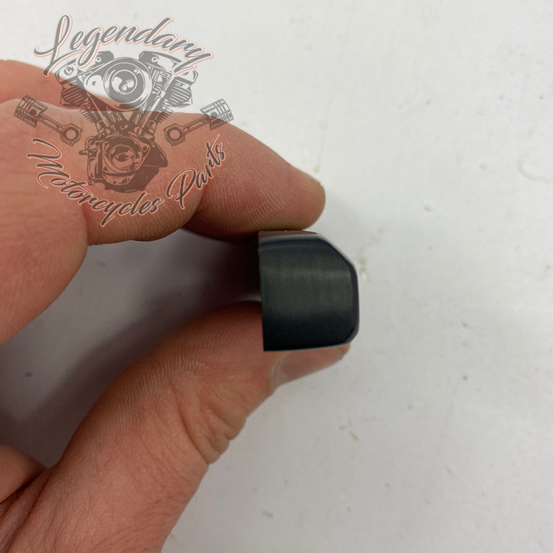 Dominion Footpeg Trim OEM 50500937