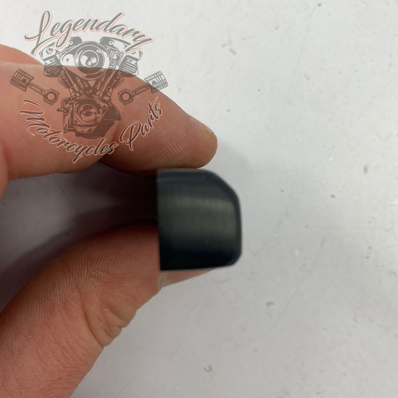 Dominion Footpeg Trim OEM 50500937