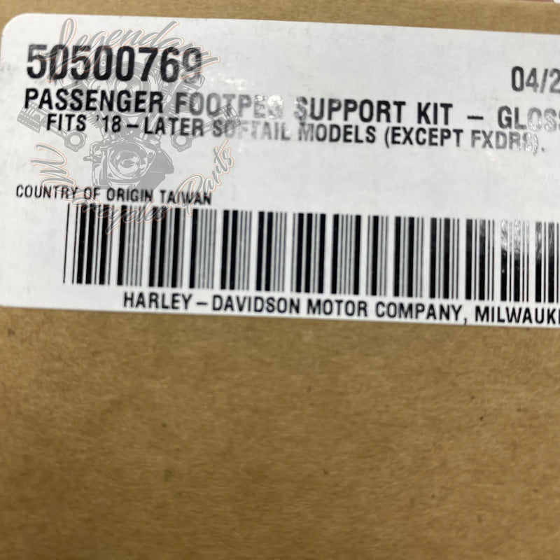 Passenger Footpeg Mounting Kit OEM 50501128