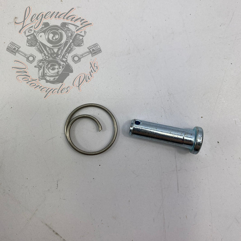 Średnie zamówienie prawe OEM 50600288
