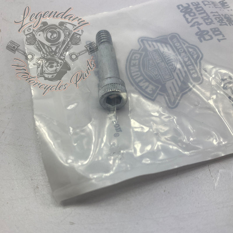 Vis de marchepied pilote OEM 50674-05
