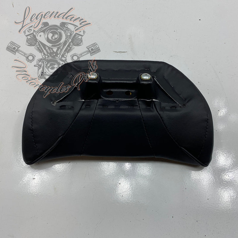 Cartella conducente OEM 52000154