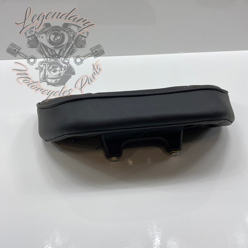 Cartella del conducente OEM 52000154