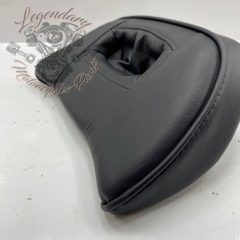 Cartella conducente OEM 52000154