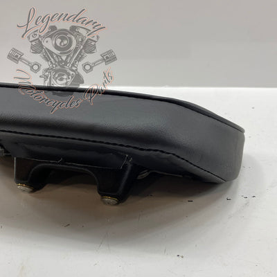Cartella conducente OEM 52000154