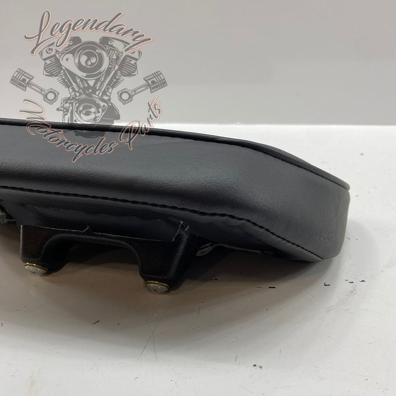Cartella conducente OEM 52000154