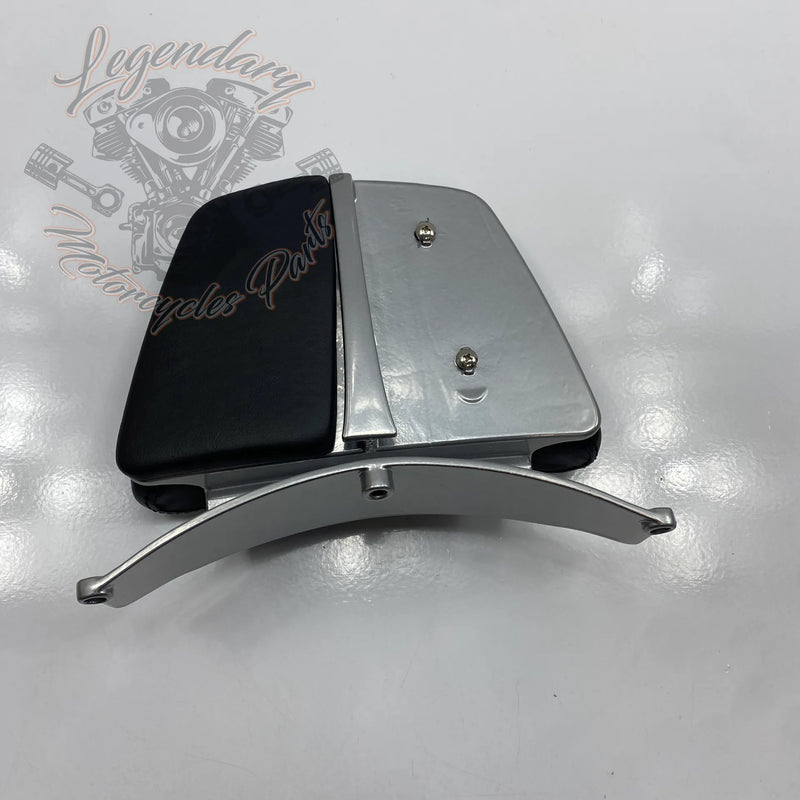 Passenger Backrest Kit OEM 52300016