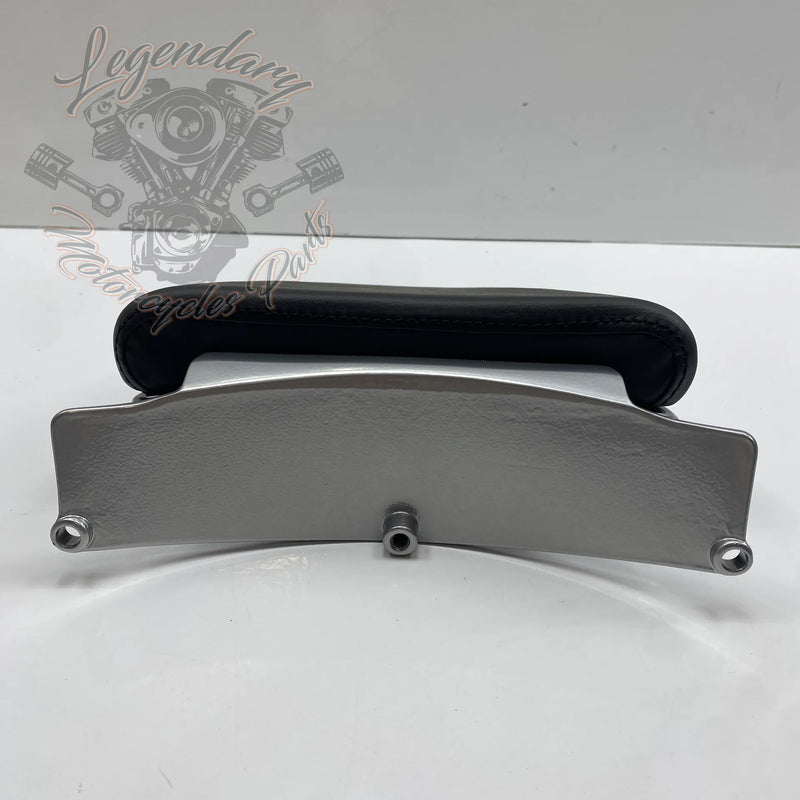 Passenger Backrest Kit OEM 52300016