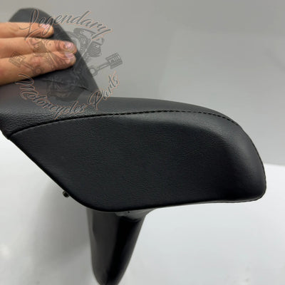 Tour-Pak Rugleuning OEM 52300053