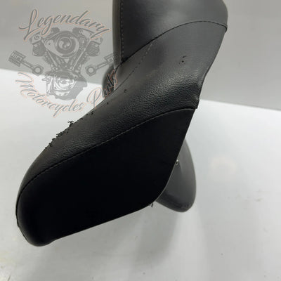 Tour-Pak Rugleuning OEM 52300053