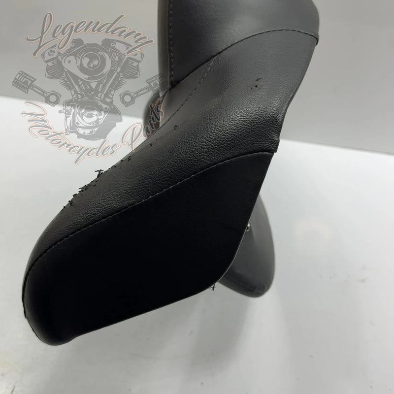 Tour-Pak Rugleuning OEM 52300053