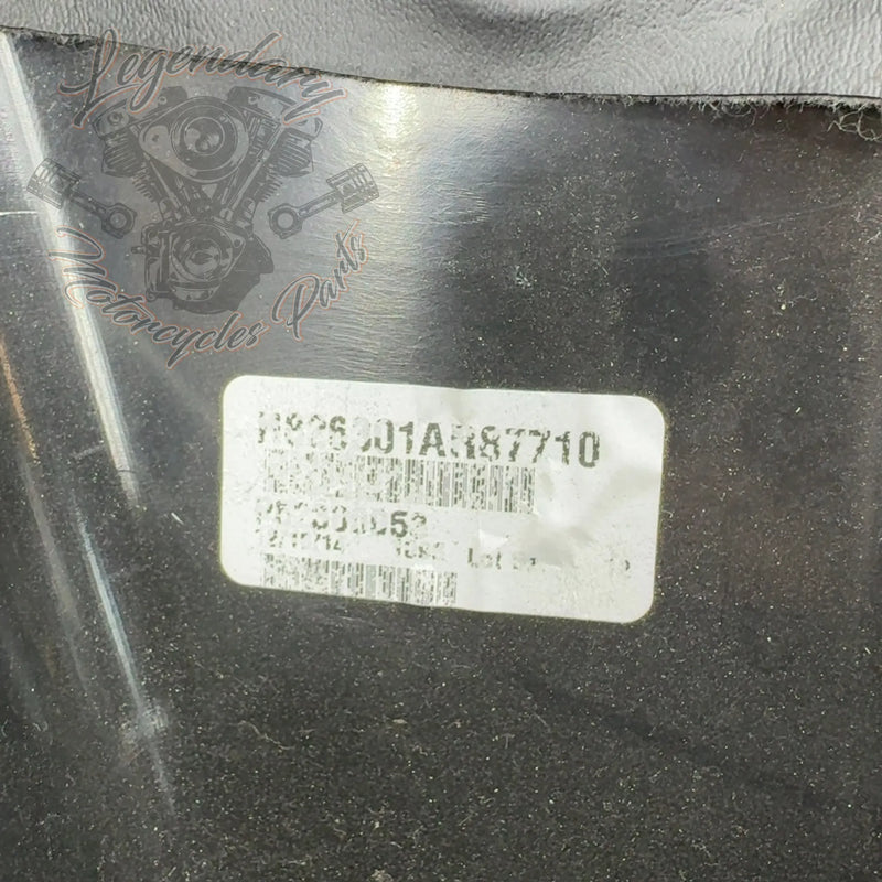 Tour-Pak Rugleuning OEM 52300053