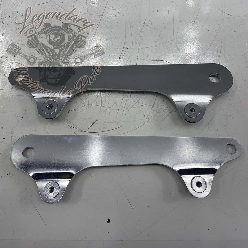 Plaques latérales de fixation de sissy bar Detachables OEM 52300065