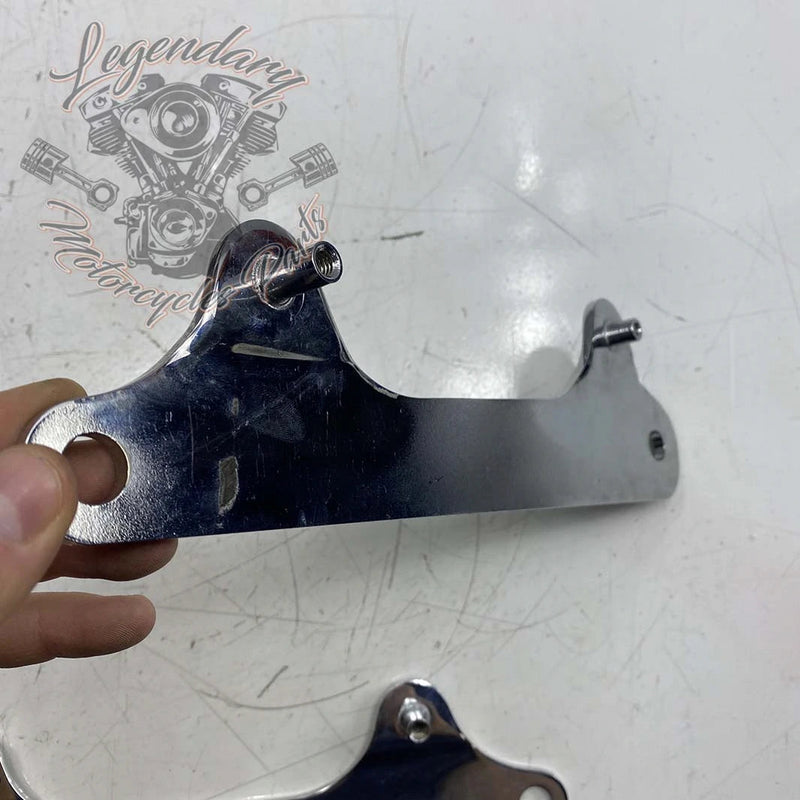 Plaques latérales de fixation de sissy bar Detachables OEM 52300065