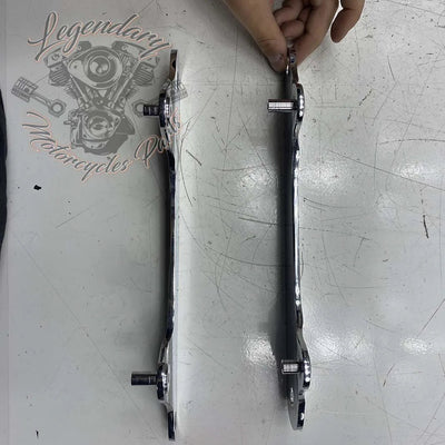 Plaques latérales de fixation de sissy bar Detachables OEM 52300065