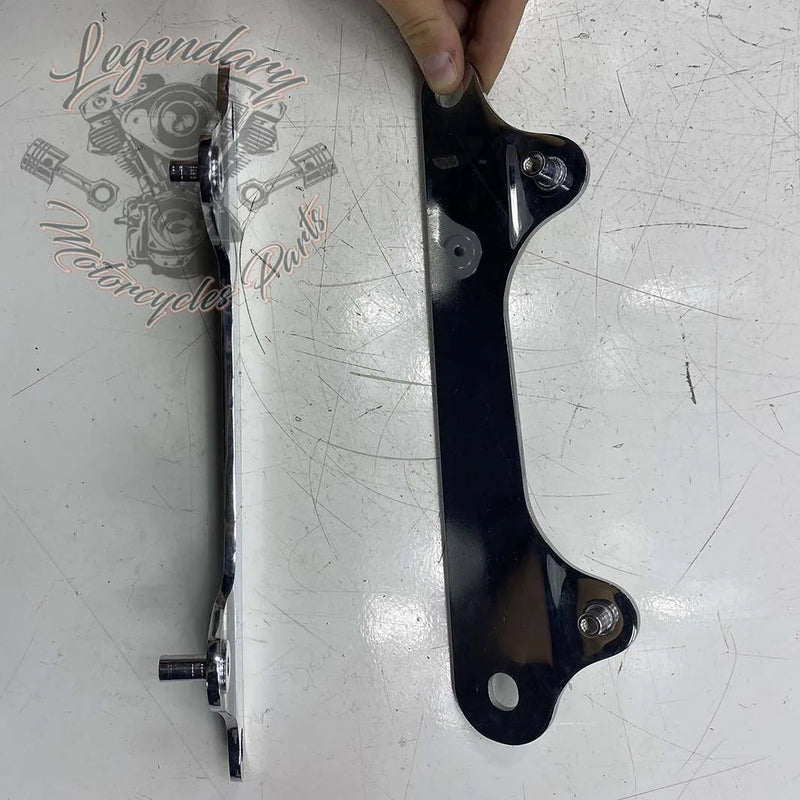 Plaques latérales de fixation de sissy bar Detachables OEM 52300065
