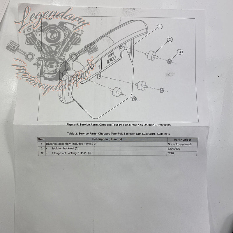 Cuscino schienale Tour Pak OEM 52300334