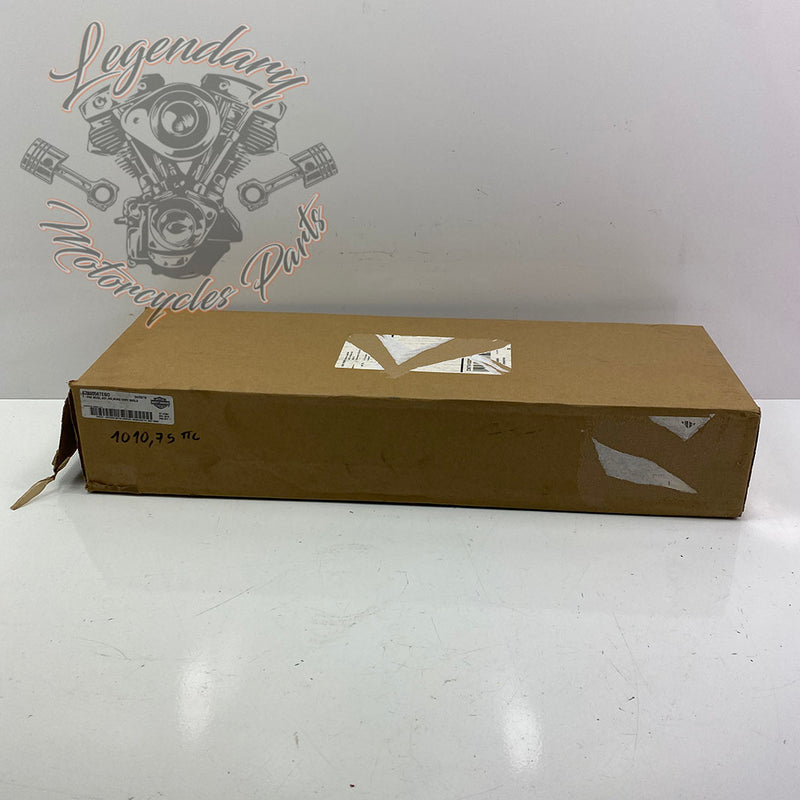 Tour Pak Lighting OEM 67800567EGO