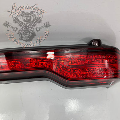 Iluminación de Tour Pak OEM 67800567EGO