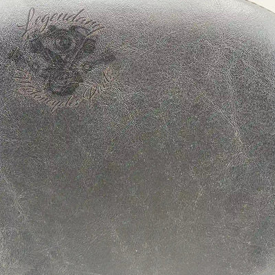 Sissybar OEM 52731-00