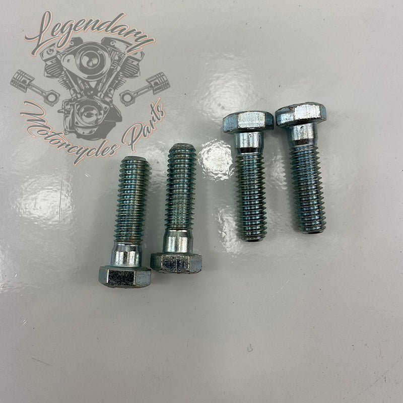 Sissybar-Schilder OEM 52791-86A