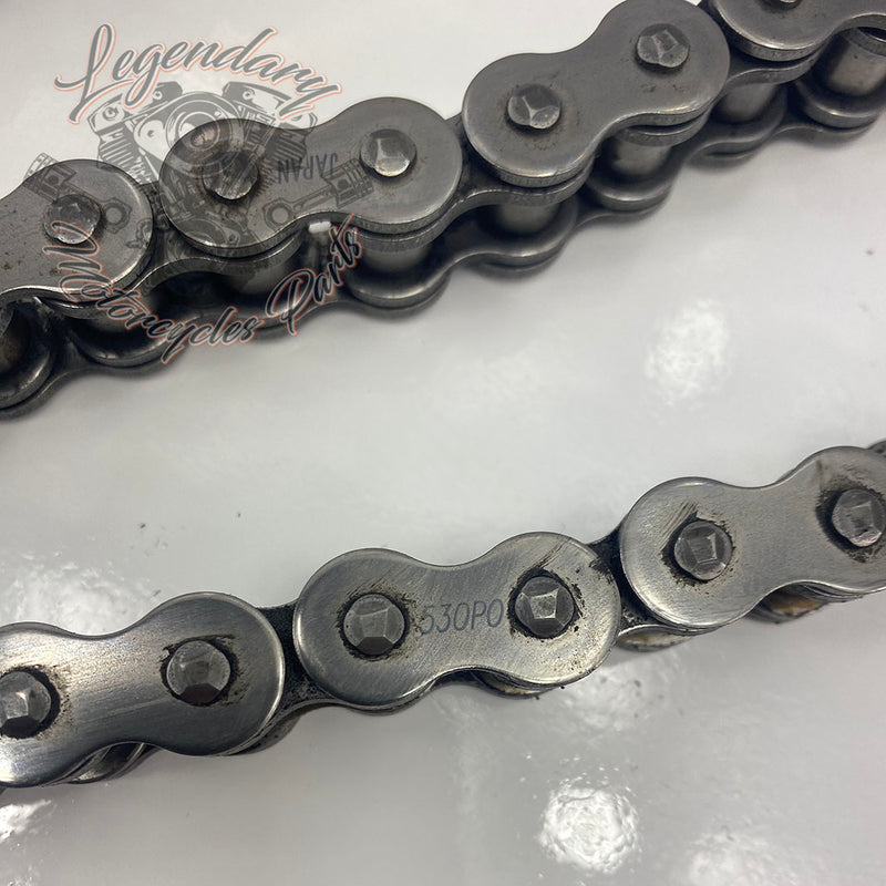 Chain 106 links
