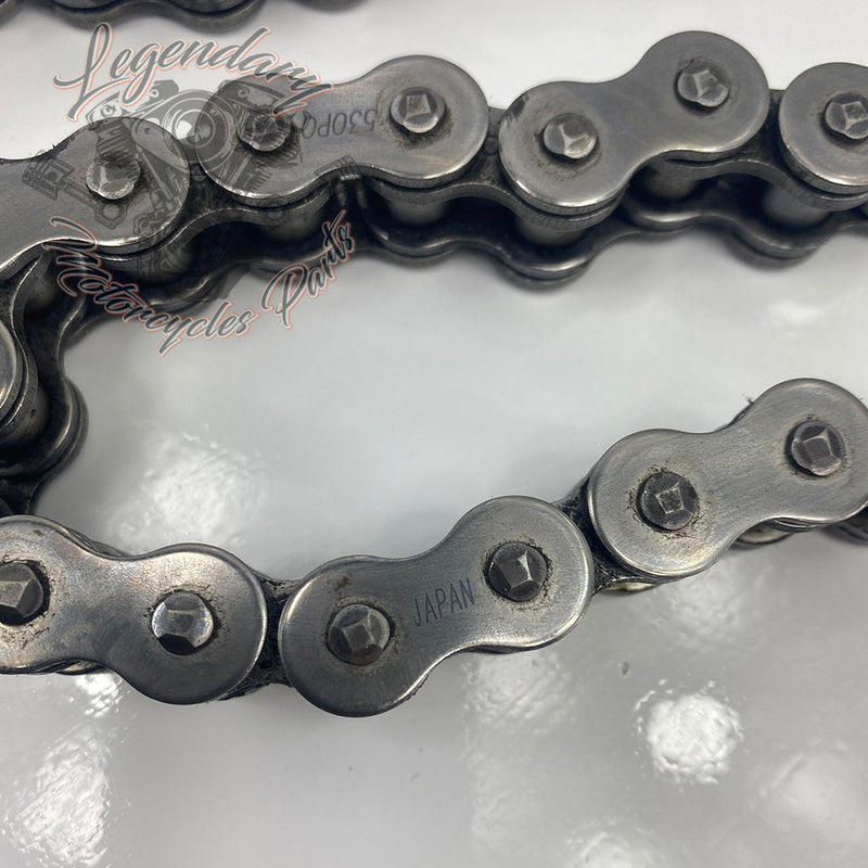 Chain 106 links