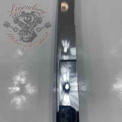 Park-Tour-Verkleidungen OEM 53734-06