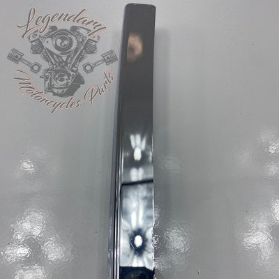 Park-Tour-Verkleidungen OEM 53734-06