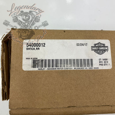 Ammortizzatore OEM 54000012