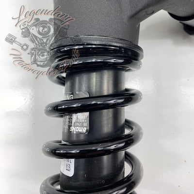 OEM 54000096 Shock Absorbers