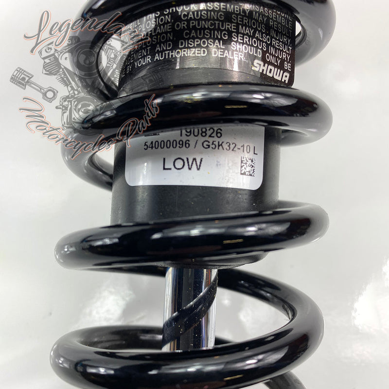 OEM 54000096 Shock Absorbers