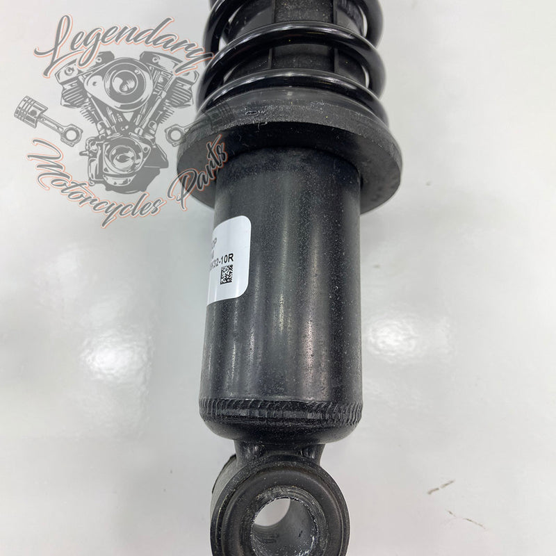 Amortisseurs OEM 54000096