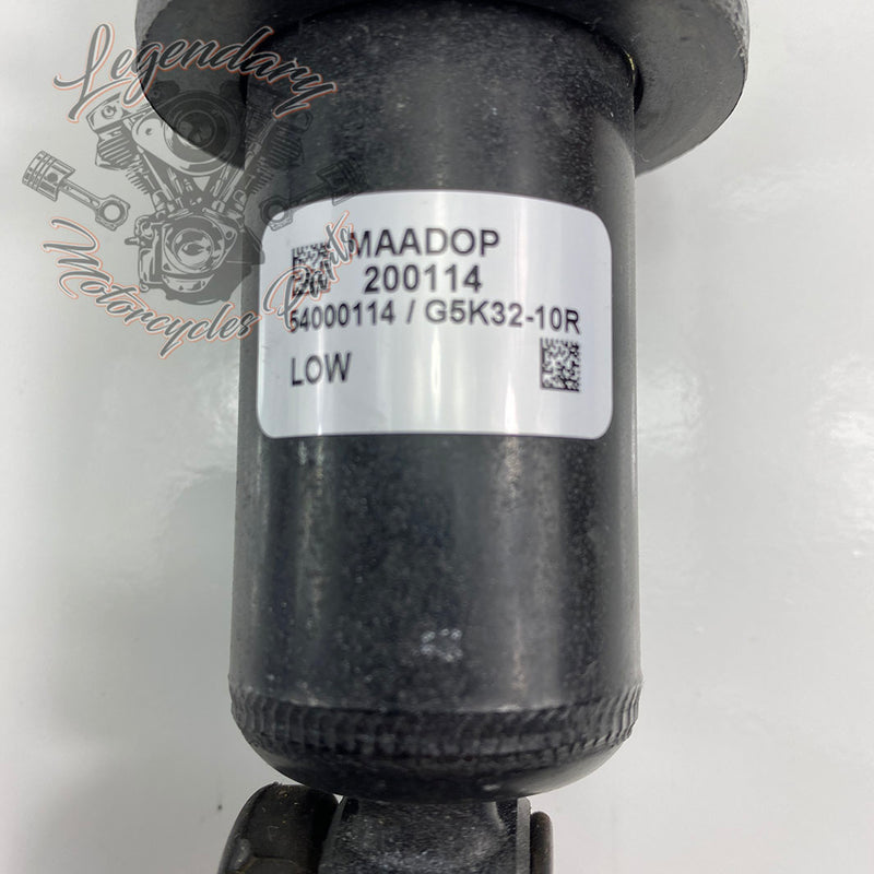 Ammortizzatori OEM 54000096