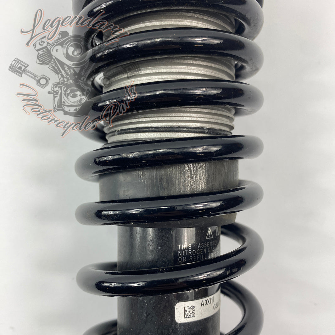 Shock absorber OEM 54000103 – Legendary Parts