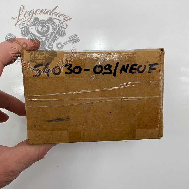 Kit de fixation de sissy bar Detachables OEM 54030-09